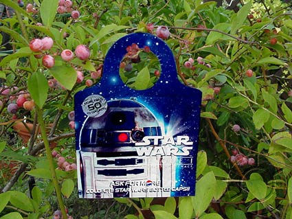 r2d24.jpg