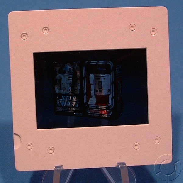 DSCF0015.JPG